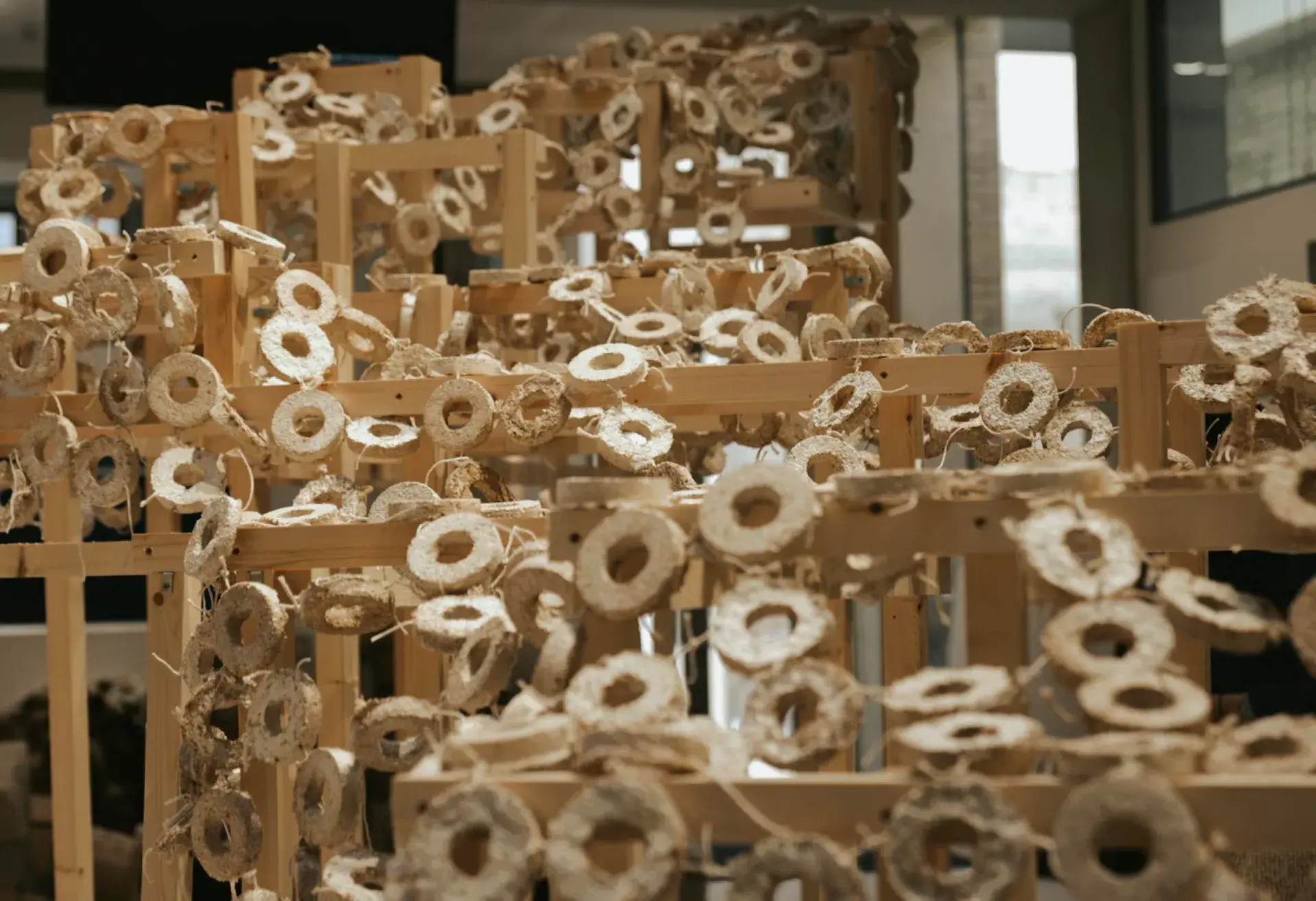 Close view of a pavilion installation made from timber frames and many sculptural mycelium forms
